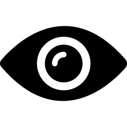 Vision icon hover